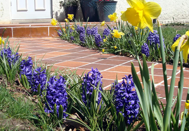 Stamped Concrete Services near me