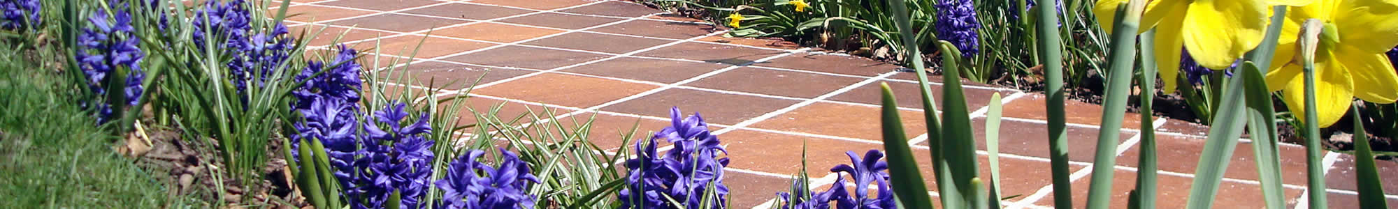 Stamped Concrete Installation near me
